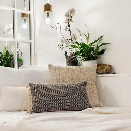Trastevere Gem Cozy Light-Filled Retreat Rom Eksteriør billede